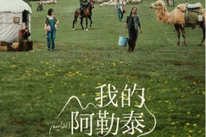 微短剧爆火，“迷你”叙事何以风靡