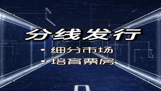 分线发行：细分市场 培育票房