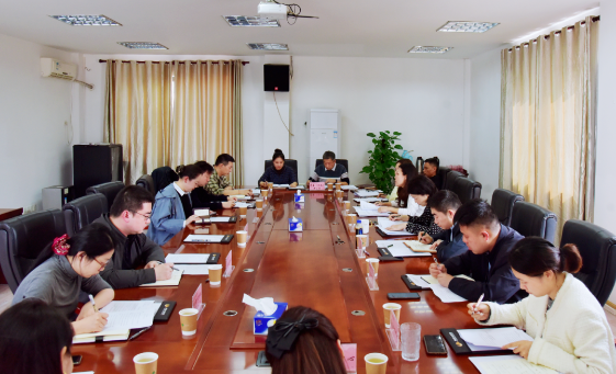 湖北长江电影集团召开巡视反馈问题整改工作督办会