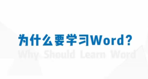 【Office零基础教学】Word+Excel+PPT 零基础的办公效率提升速成课