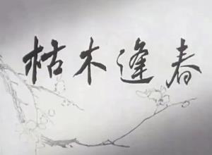 《枯木逢春》：重读枯木逢春