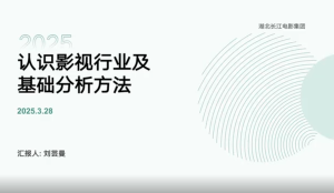 认识影视行业及基础分析方法——刘芸曼