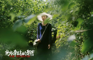 《南方车站的聚会》：从第六代电影到黑色电影的转化